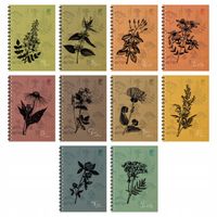 2x Kołozeszyt A4/80 kratka spirala GRUBA Podkładka