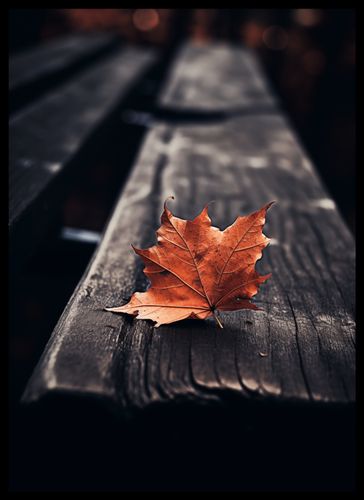 Plakat 39,5x55cm Pojedynczy Liść na Arena.pl