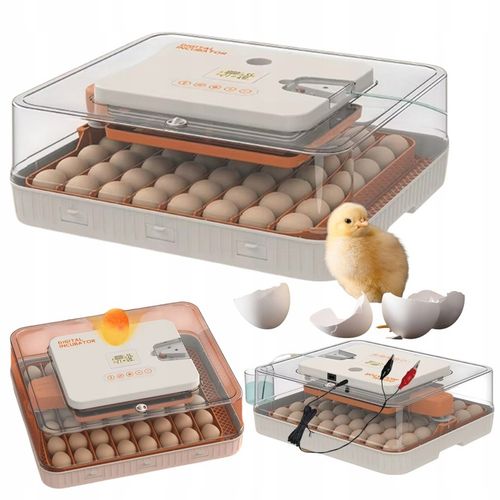 Inkubator Automatyczny 56H 56 Jaj Z Owoskopem 12V Klujnik Wylęgarka Drobiu na Arena.pl