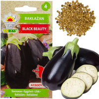 W1003 BAKŁAŻAN NASIONA OBERŻYNA BLACK BEAUTY FIOLETOWA GRUSZKA MIŁOŚCI 1G