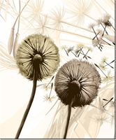 60CM 50CM OBRAZ ŚCIENNY DMUCHAWCE SEPI DRUK PŁÓTNO