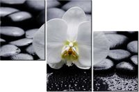 product-compare-58700059