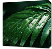 product-compare-59468062