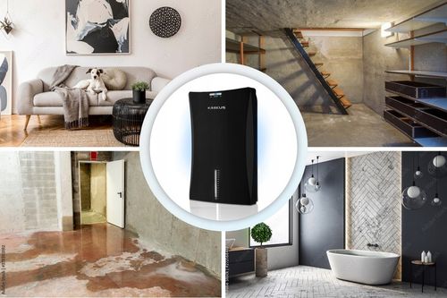 Osuszacz Oczyszczacz Powietrza Pochłaniacz Wilgoci na Arena.pl