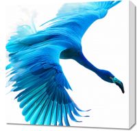 Obraz 60x60cm Błękitny Lot
