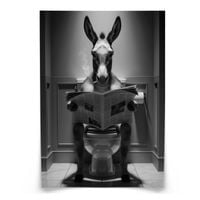 PLAKAT DO ŁAZIENKI OSIOŁ W TOALECIE NOWOCZESNA ABSTRAKCJA 30cm x 40cm