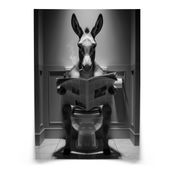 PLAKAT DO ŁAZIENKI OSIOŁ W TOALECIE NOWOCZESNA ABSTRAKCJA 30cm x 40cm