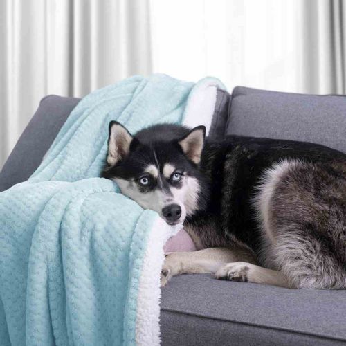 BLA/AH/SHLEEPY/BABYBLUE/170X210 na Arena.pl