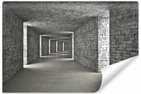 Fototapeta Do Salonu Kamienny TUNEL Abstrakcja Efekt 3D 270cm x 180cm