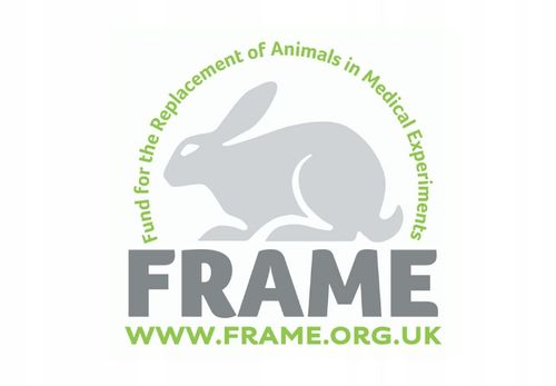 Avon Nutra Effects True Matujący krem BB 5w1 Light na Arena.pl