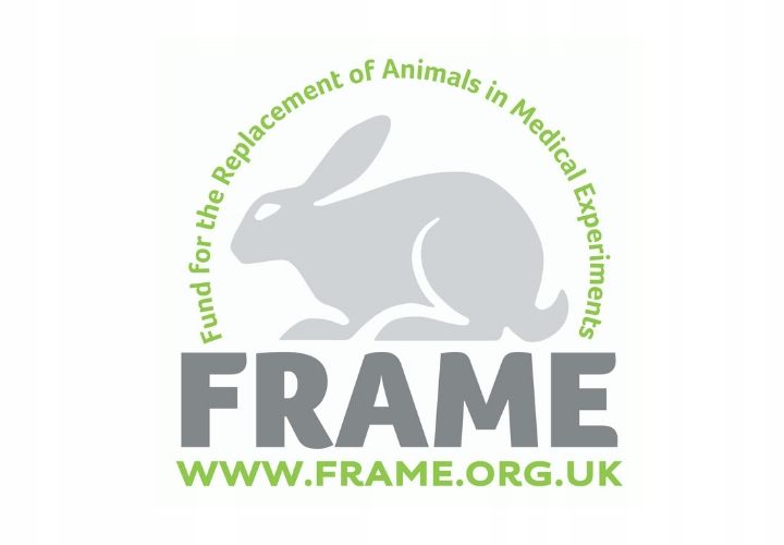 Avon Nutra Effects True Matujący krem BB 5w1 Light zdjęcie 3