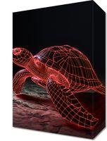 Obraz 20x30cm Neonowy Żółw