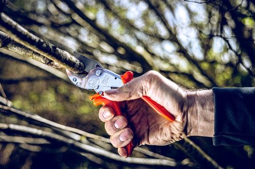 SEKATOR RĘCZNY LOWE 10.107 do GRUBYCH GAŁĘZI OGRODOWY KOWADEŁKOWY 30mm na Arena.pl