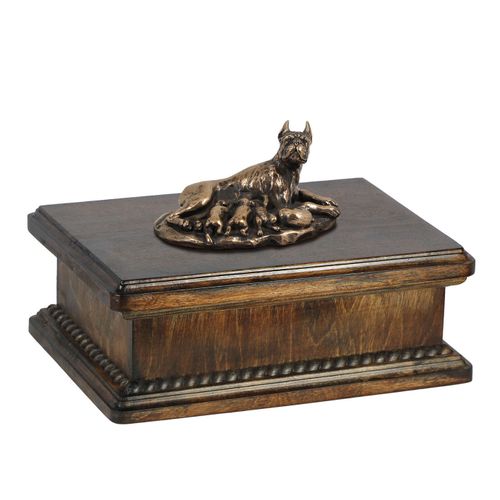 Bokser mama- eksluzywna urna na Arena.pl