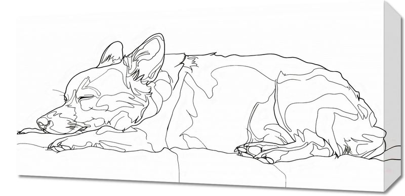 Obraz 60x30cm Śpiący Psiak zdjęcie 1