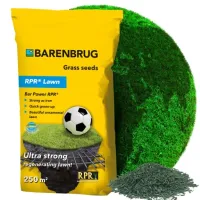 Trawa BARENBRUG RPR LAWN 5 kg - Trawa sportowa odporna na deptanie