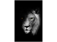 OBRAZ DUCH MROK LEW CIEŃ CZARNO-BIAŁY