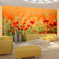 product-compare-63631814