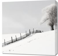 Obraz 70x70cm Samotność Zimy przy Płocie