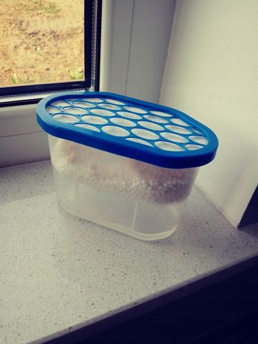 Pochłaniacz wilgoci, osuszacz stojący , zestaw 7 sztuk na Arena.pl