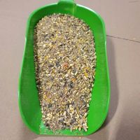 Avans Sypka De Heus 25kg Pasza dla kur niosek