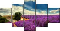80CM 150CM OBRAZ 5 ELEM LAWENDOWY KRAJOBRAZ ŚCIENNY