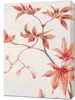 Obraz 50x70cm Branch of Momiji, Morikaga Japoński Vintage