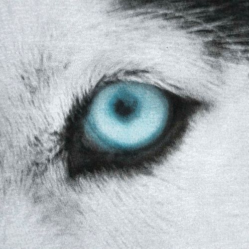 Pościel 140x200 cm Husky na Arena.pl