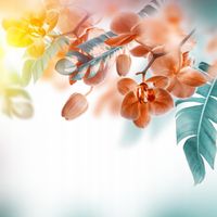 FOTOTAPETA STORCZYK PIÓRKA KUCHNIA SALON 380x256