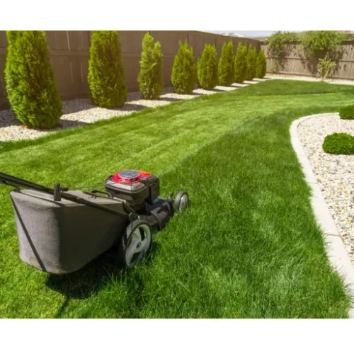 Trawa BARENBRUG Bar Power RPR Play&Sport 5 kg SPORTOWA TRAWA DLA KAŻDEGO! na Arena.pl