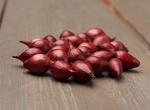 ZIMOWY ZESTAW DO SADZENIA 2x Dymka + Czosnek Harnaś 500g na Arena.pl