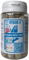 PROTEINA 66% Tabs białko dla gołębi OVIGOR 120szt