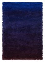 SHADE HIGH ELECTRIC BLUE | AUBERGINE 11918