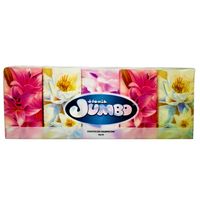 Chusteczki higieniczne 100 sztuk Słonik JUMBO 10x10 Delikatne Miękkie Białe 100% Celuloza Soft Handkerchiefs