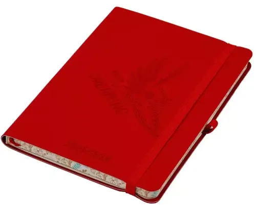 Kalendarz Szkolny B6 2025-2026 Salsa, Czerwony But na Arena.pl