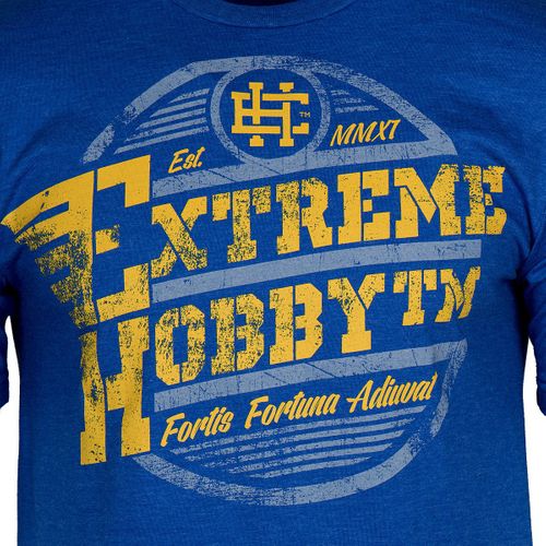 T-shirt WINGS NIEBIESKI M na Arena.pl
