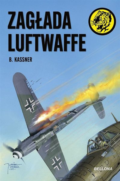 Zagłada Luftwaffe B. Kassner zdjęcie 1
