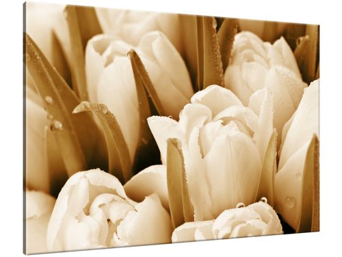 Obraz Świeże tulipany 100x70 PŁÓTNO na Arena.pl
