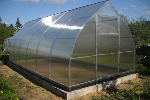 Szklarnia z poliwęglanu Kropla 3,1x8 m profile 20x20 poliwęglan 3mm na Arena.pl