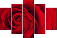 100CM 150CM OBRAZ 5 ELEM CZEWONA RÓŻA ŚCIENNY