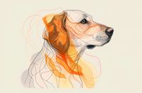 Plakat 91,5x60cm Kontur Profilowego