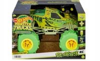 HOT WHEELS MONSTER TRUCK GUNKSTER SAMOCHÓD RC 1:15 zdalnie sterowany
