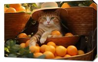 product-compare-59477365