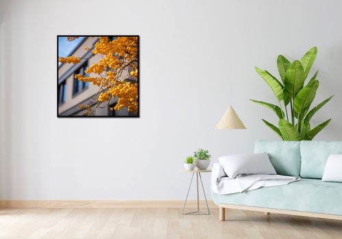 Plakat 80x80cm Złote Jagody na Arena.pl