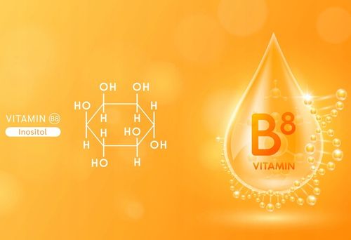 Proton Labs MIO-INOZYTOL czysty 99%+ PURE Myo-Inositol 200 g Witamina B8 na Arena.pl