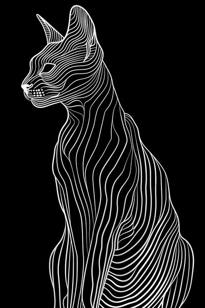 Plakat 61x91,5cm Minimalny Kontur zdjęcie 1