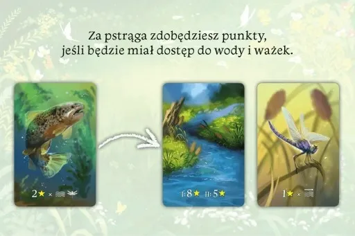 Ekosystem zdjęcie 11