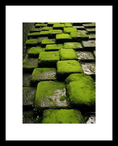 Plakat 13x18cm Zielona Mozaika na Arena.pl