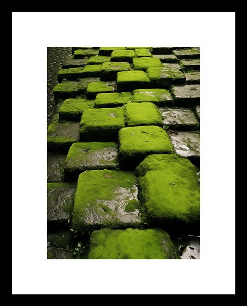 Plakat 13x18cm Zielona Mozaika zdjęcie 3