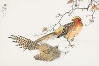 Plakat 91,5x61cm Golden Pheasant, Kashu Japoński Vintage do Salonu